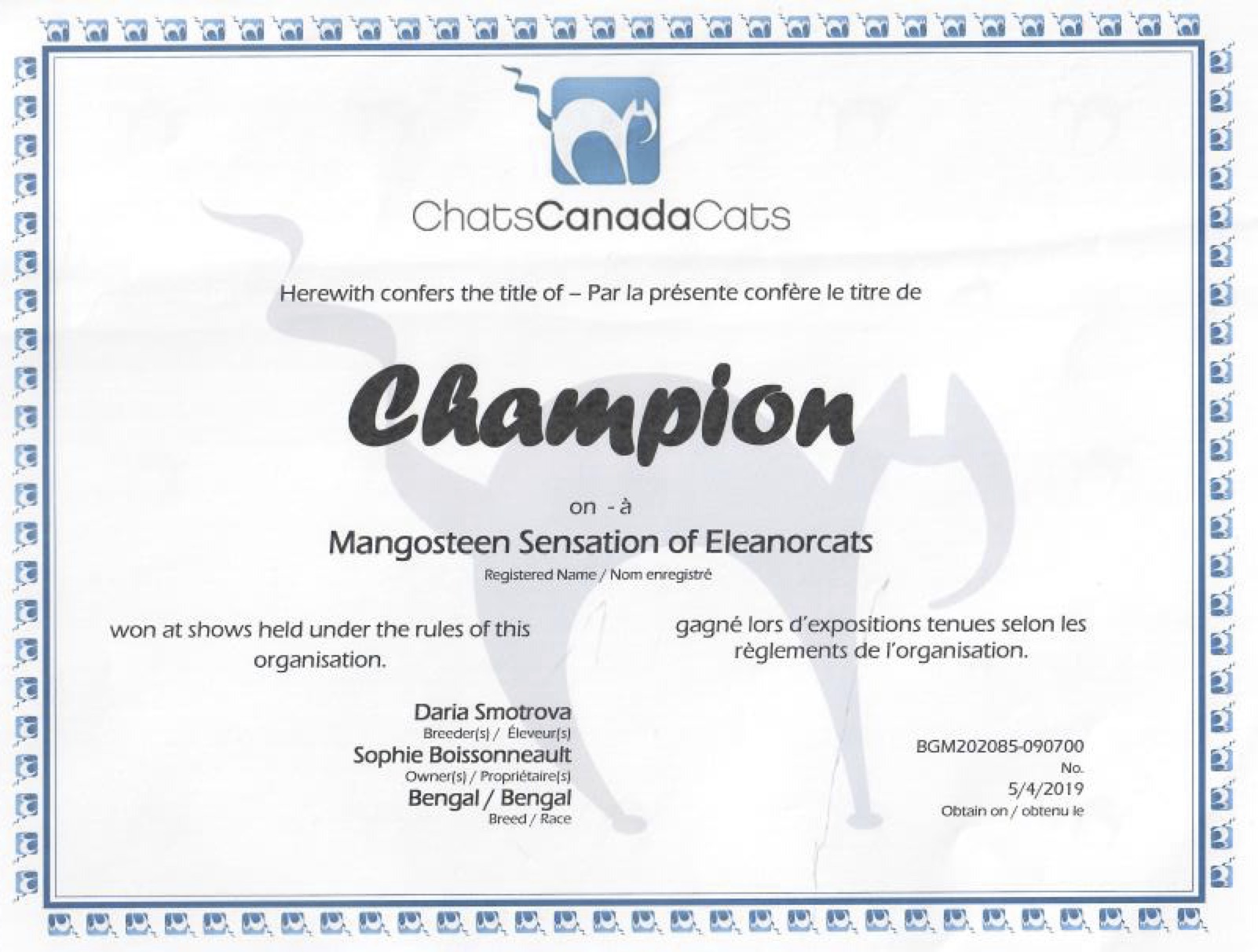 Champion - Sensation bengal CCC ELEANORCATS