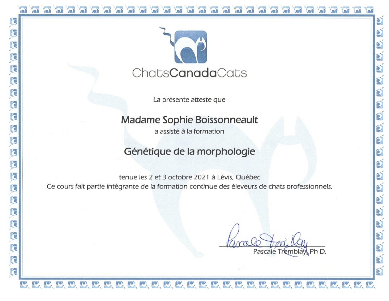 Certificat CCC Morpho